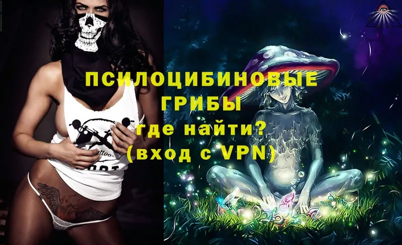 Псилоцибиновые грибы Cubensis  Богородицк 